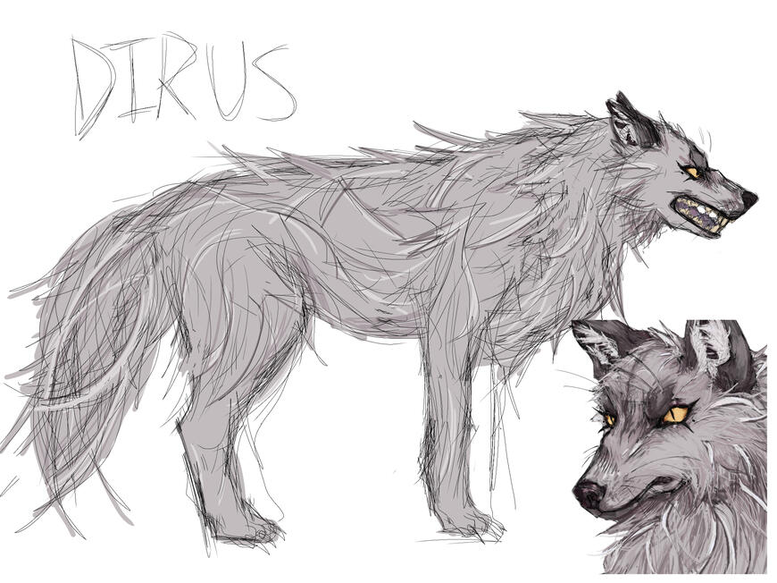 LITHIUMN'S DIRUS FORM // OFFICIAL SHEET
